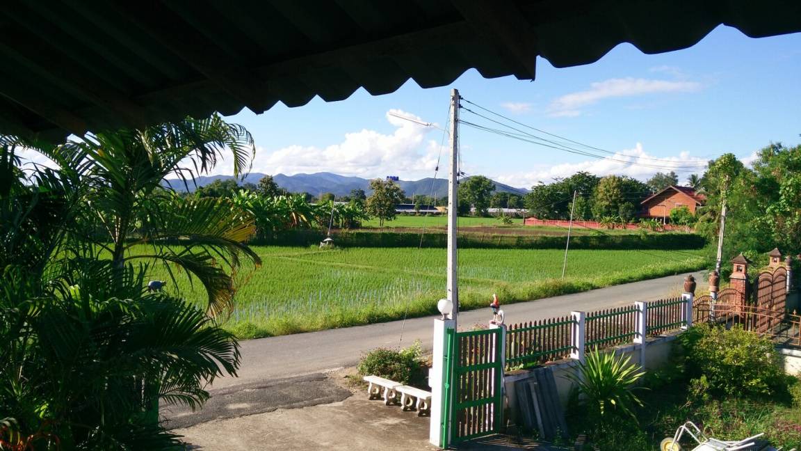 Photo of Others in Nong Yaeng