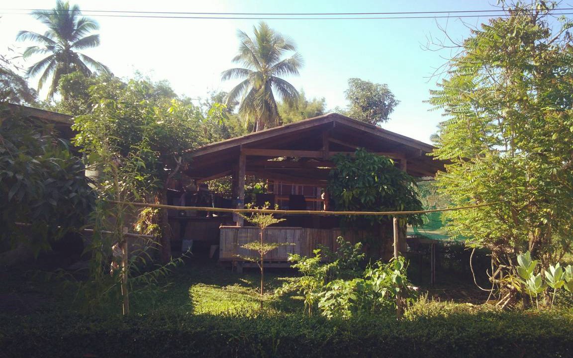 Photo of Others in Pai