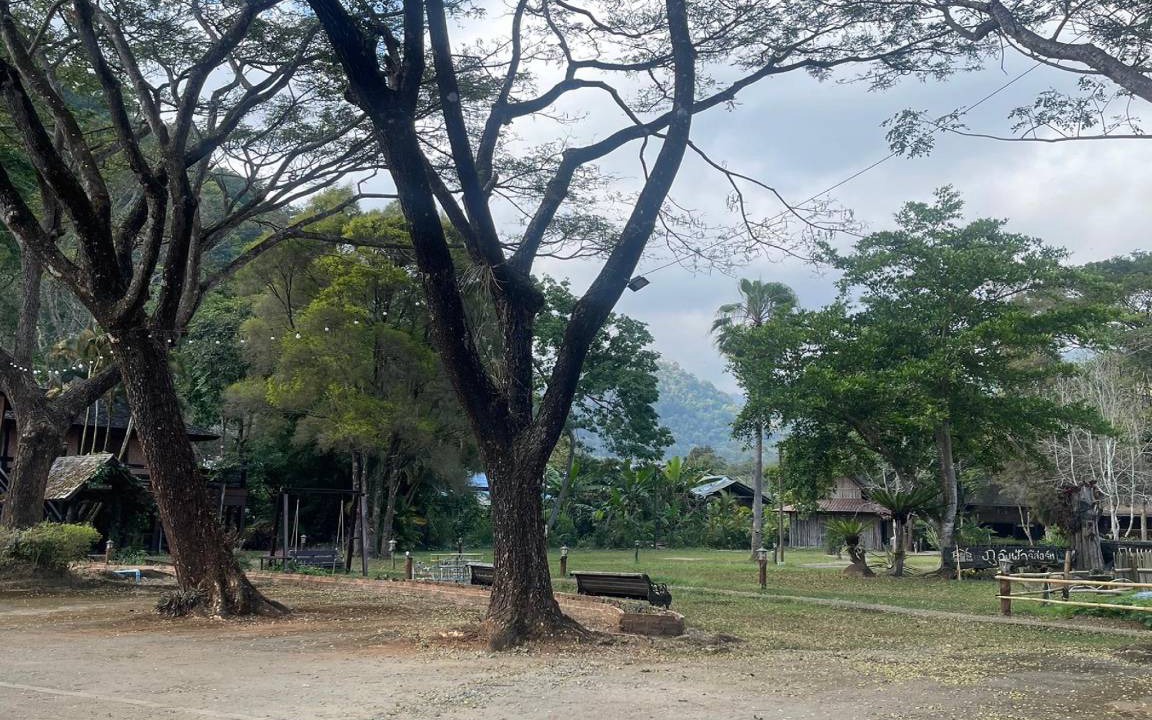 Photo of Others in Pong Yaeng