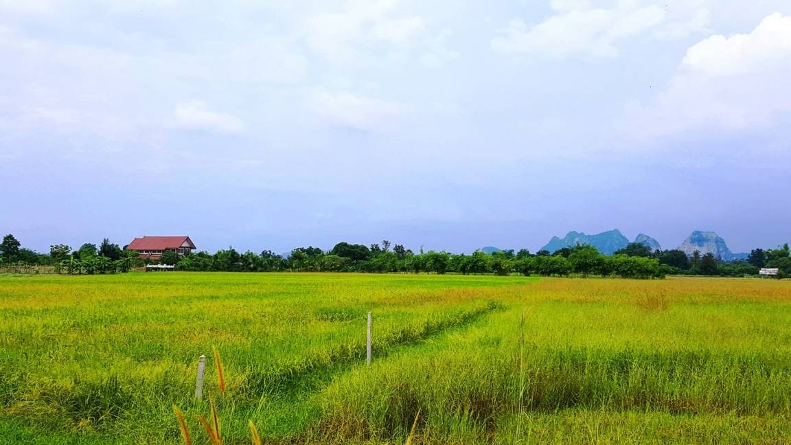 Photo of Others in Ratchaburi