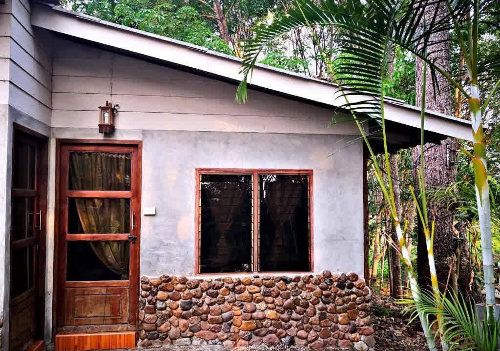 Photo of Others in Pai