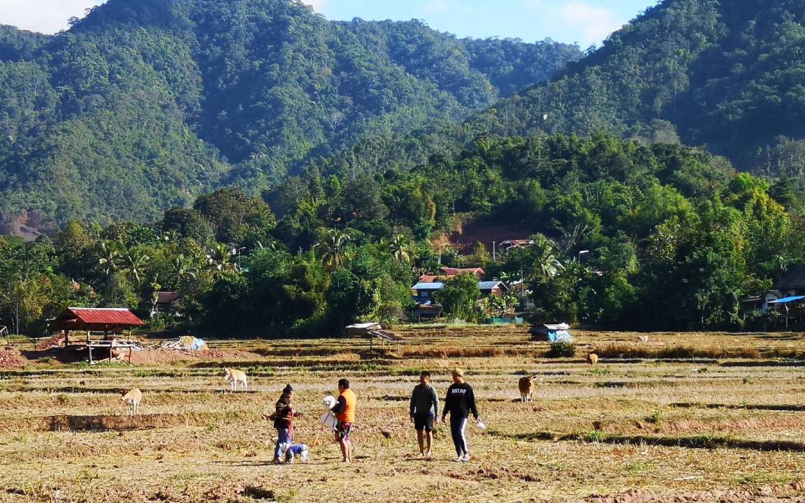 Photo of Others in Bo Kluea