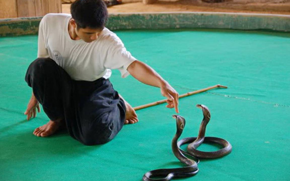 Photo of Others in Mae Rim