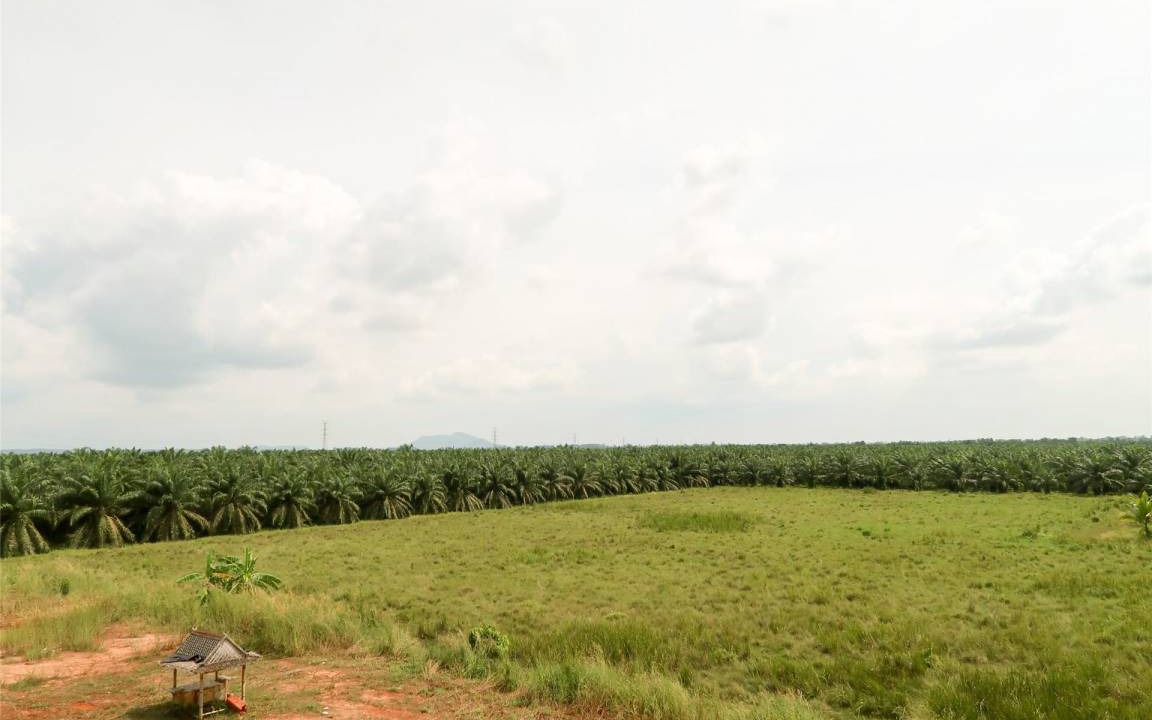 Photo of Others in Phunphin