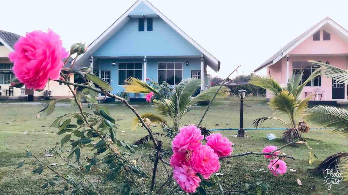 Photo of Others in Chiang Rai