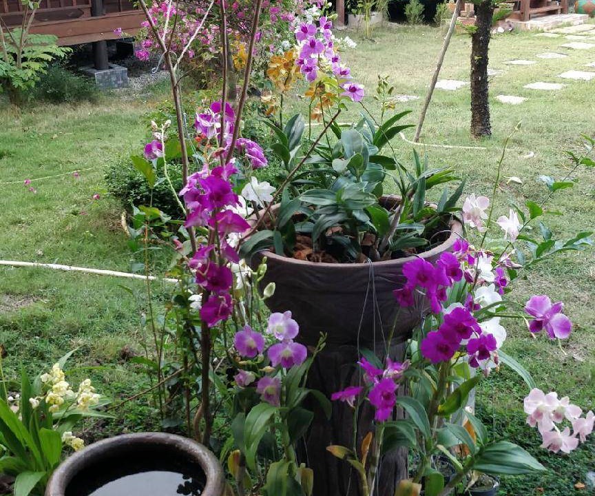 Photo of Others in Wat Phleng