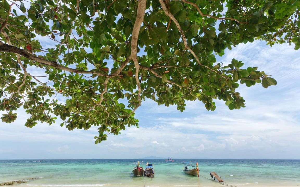 Photo of Others in Ko Phi Phi
