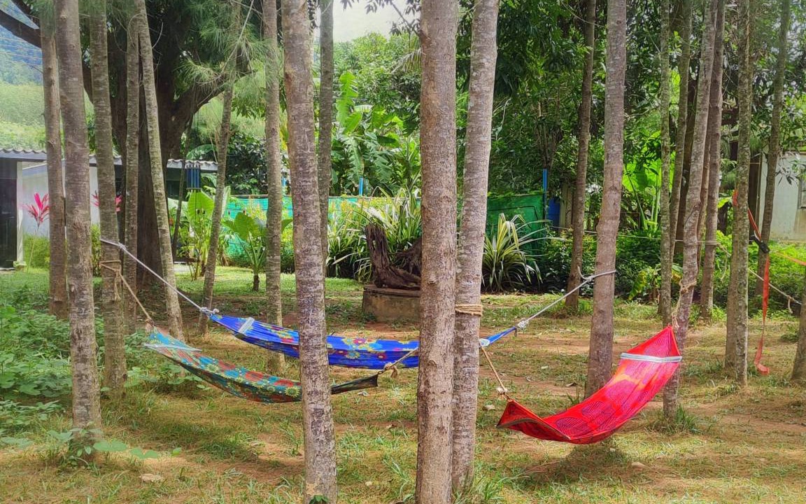 Photo of Others in Ko Lanta