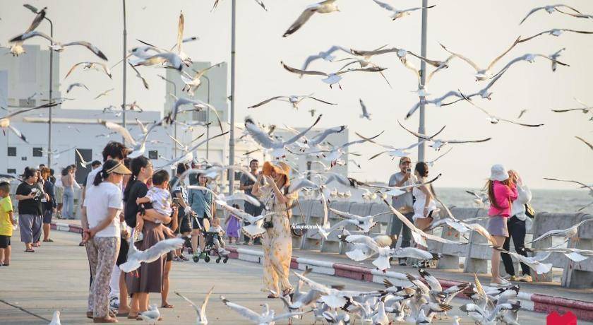 Photo of Others in Mueang Samut Prakan District