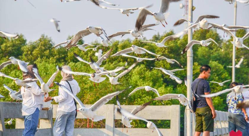 Photo of Others in Mueang Samut Prakan District