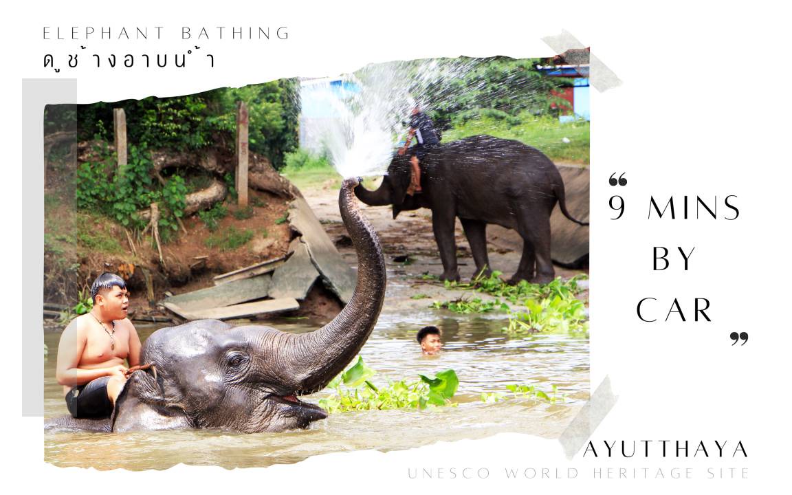 Photo of Others in Ayutthaya