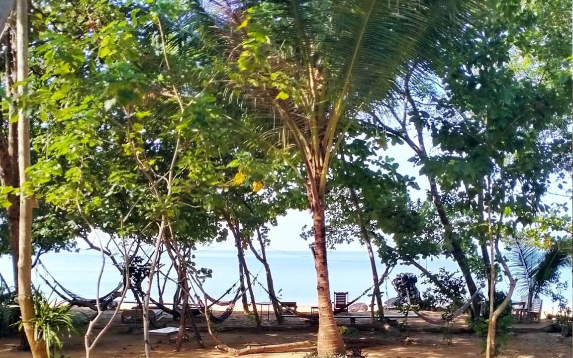 Photo of Others in Nuea Khlong