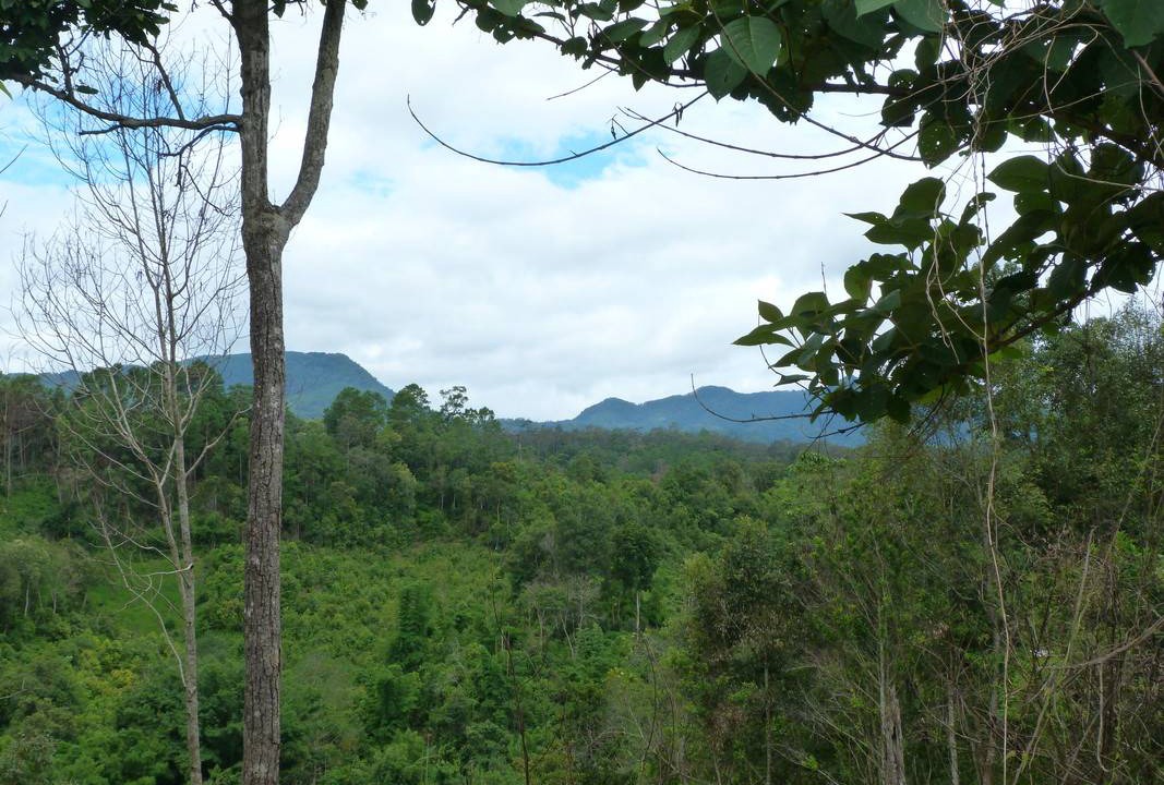 Photo of Others in Mae Rim