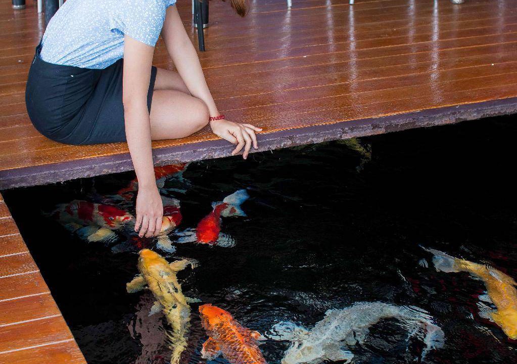 Photo of Others in Chanthaburi