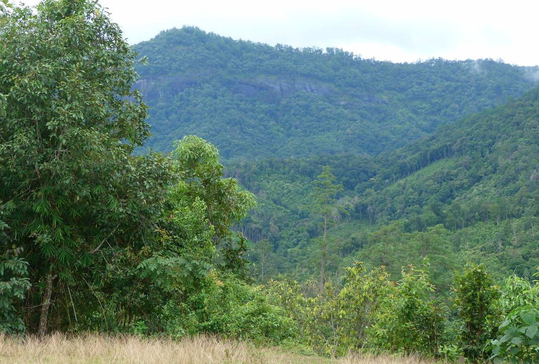 Photo of Others in Mae Rim