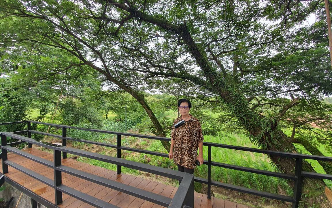 Photo of Others in Bueng Kan City