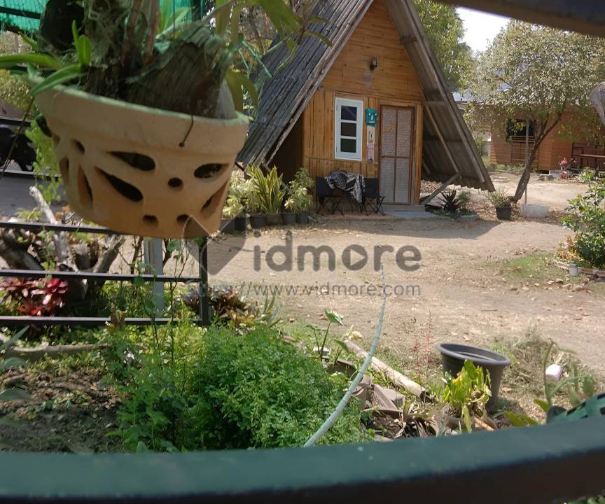 Photo of Others in Pai