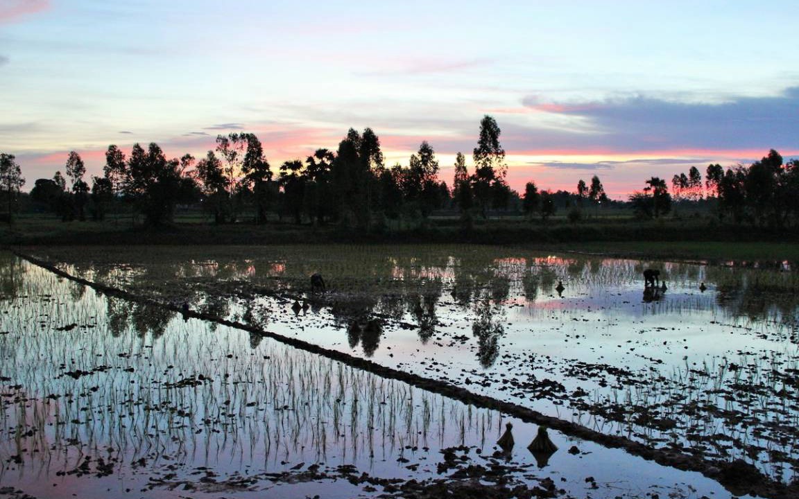 Photo of Others in Khon Kaen