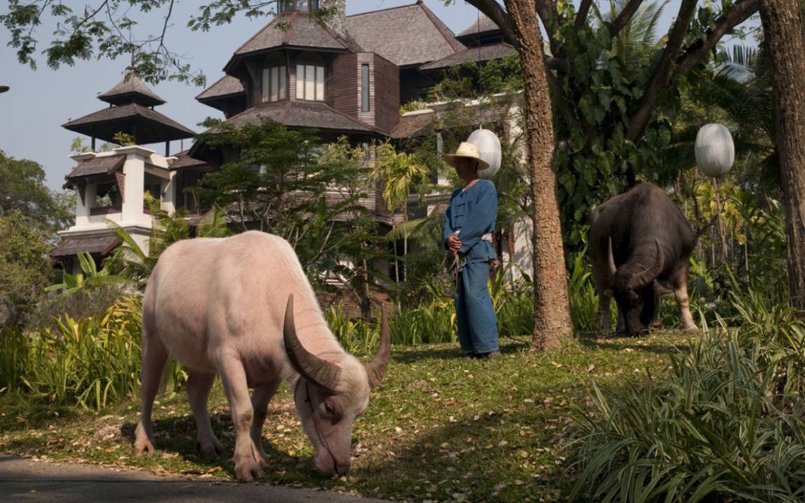 Photo of Others in Mae Rim