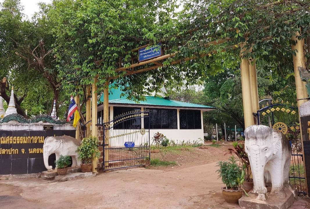 Photo of Others in Nong Chaeng