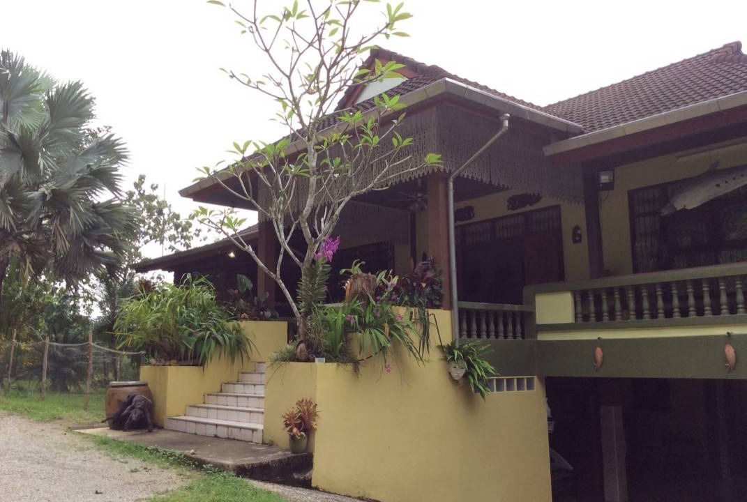 Photo of Others in Krabi