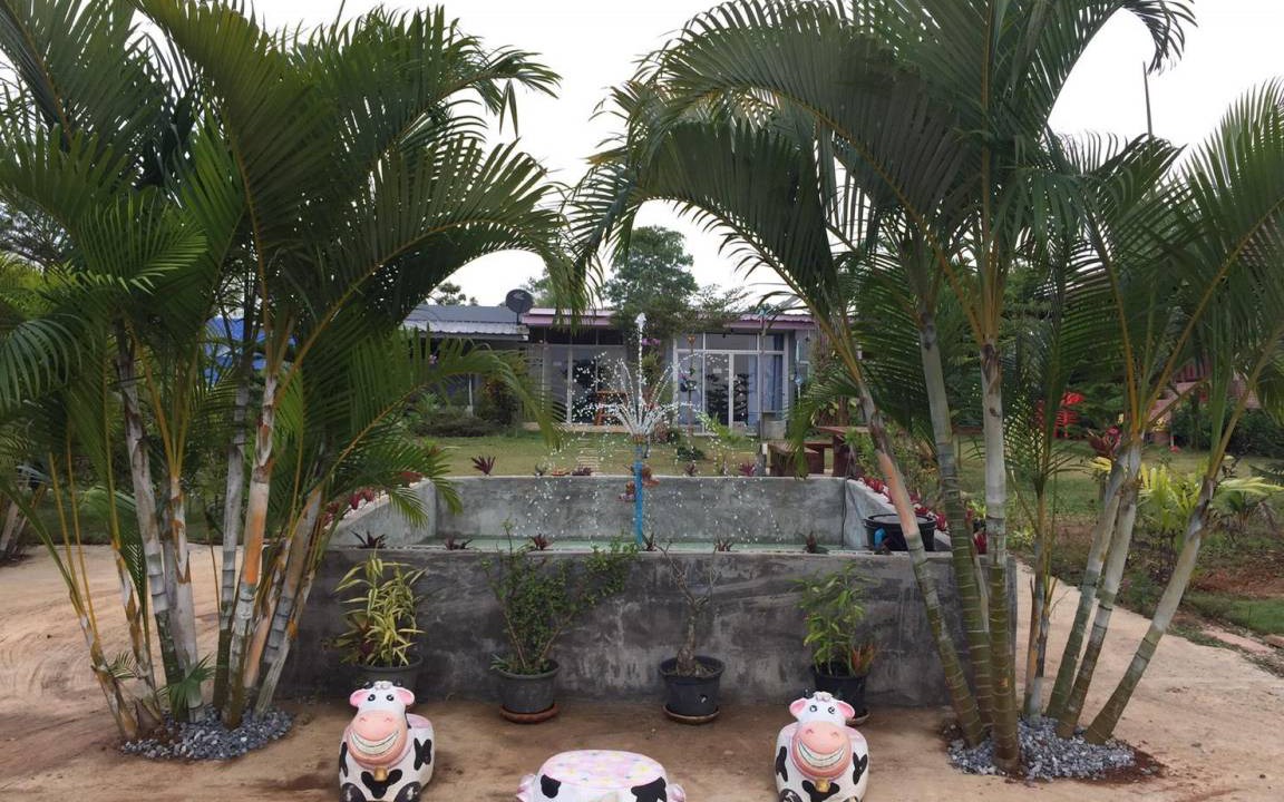 Photo of Others in Khao Kho
