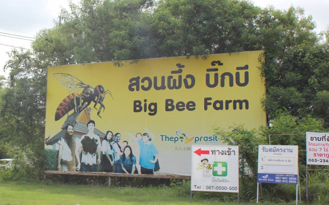 Photo of Others in North Pattaya