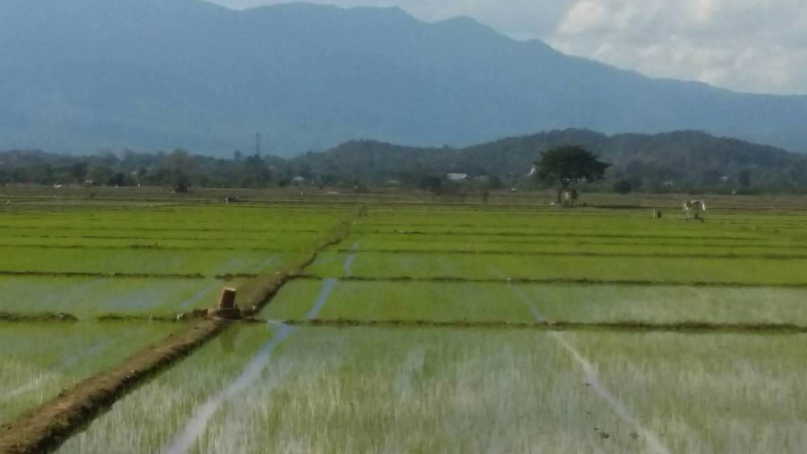 Photo of Others in Mae Rim