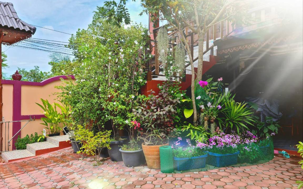 Photo of Others in Rayong