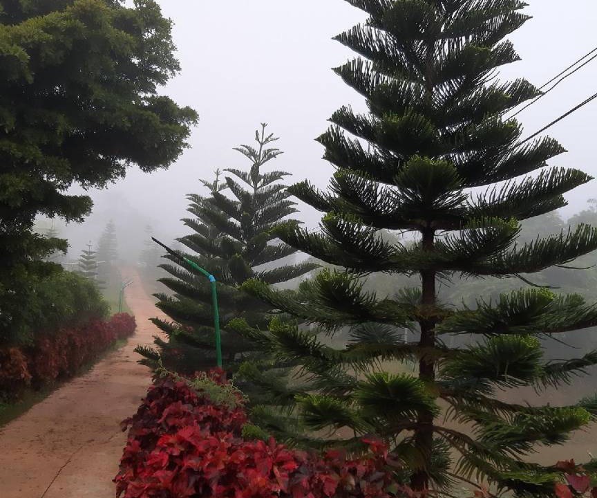 Photo of Others in Khao Kho