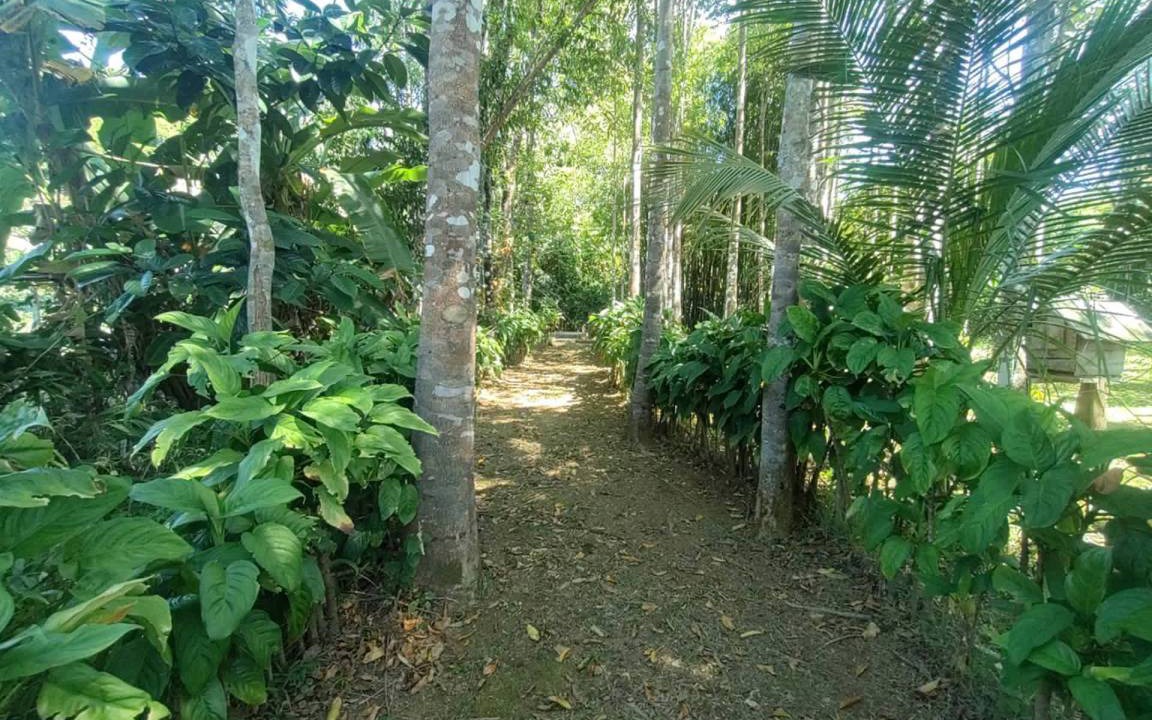 Photo of Others in Koh Chang Tai