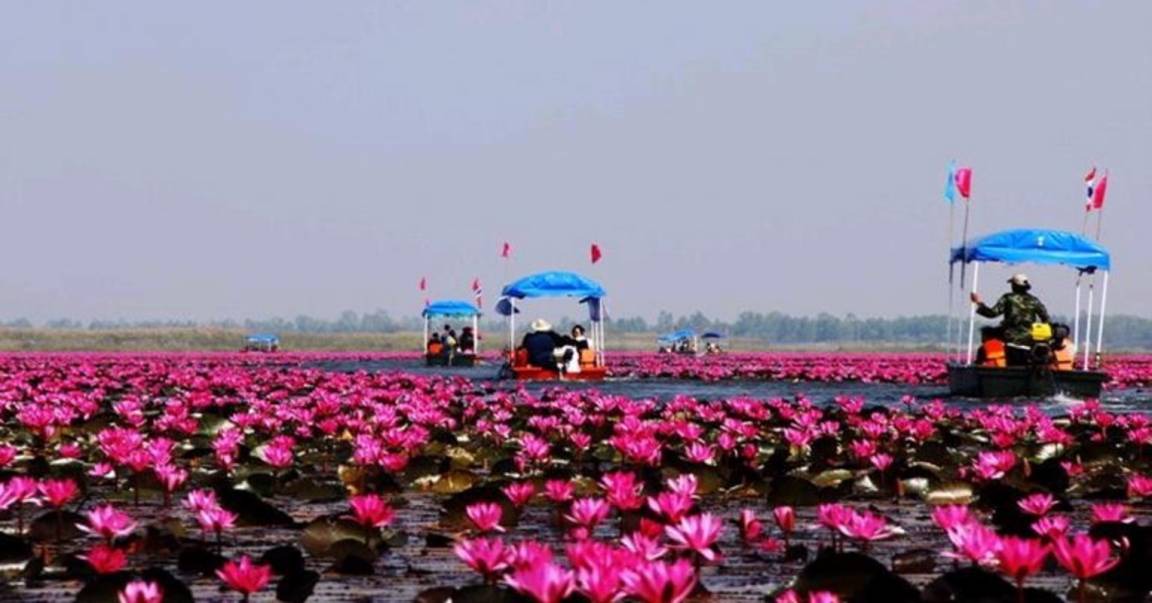 Photo of Others in Nong Han