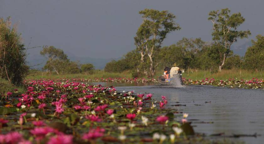 Photo of Others in Khuan Khanun