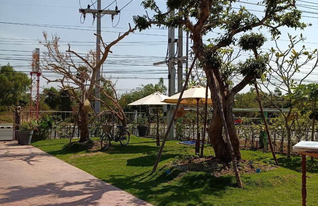 Photo of Others in Surin
