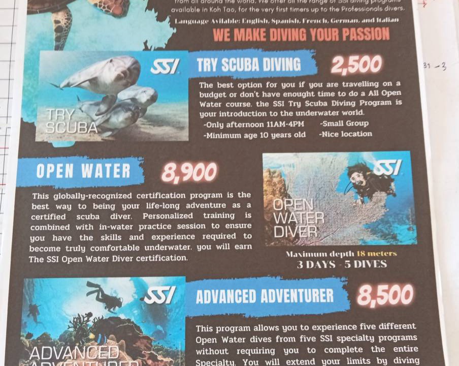 Photo of Others in Koh Tao