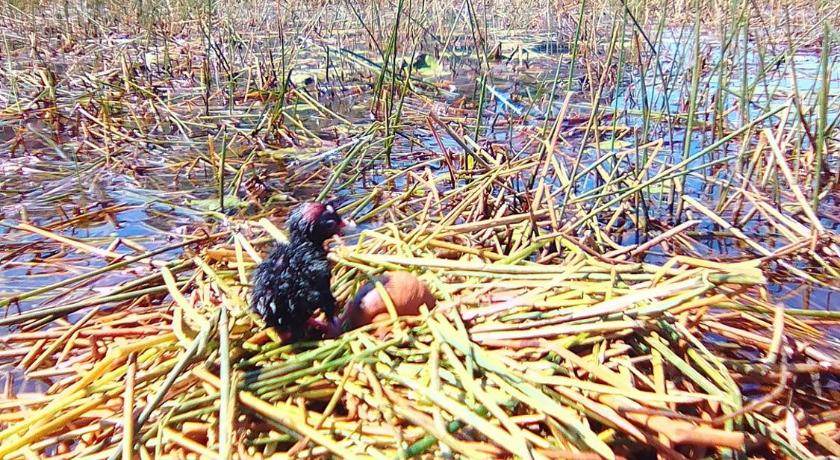 Photo of Others in Sam Roi Yot