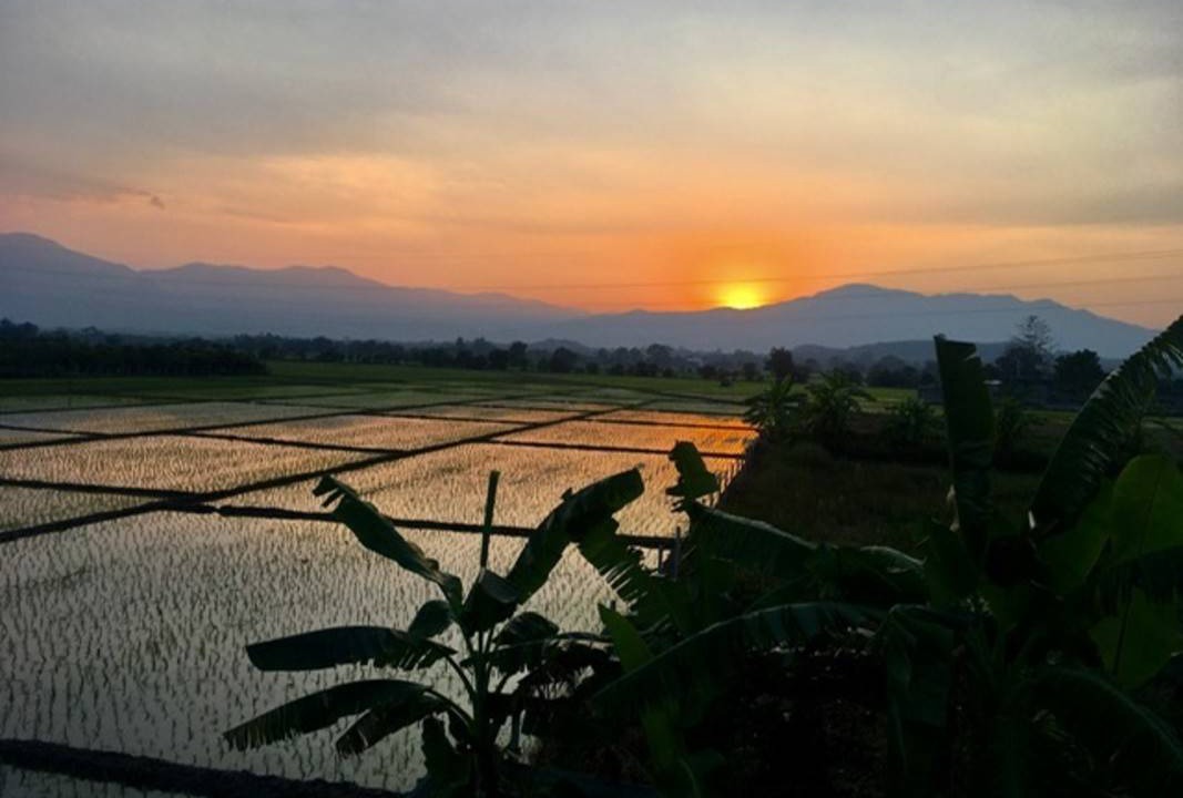 Photo of Others in Mae Rim