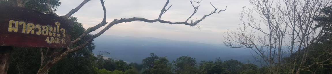Photo of Others in Pong Ta Long