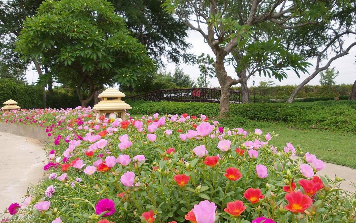 Photo of Others in Khon Kaen