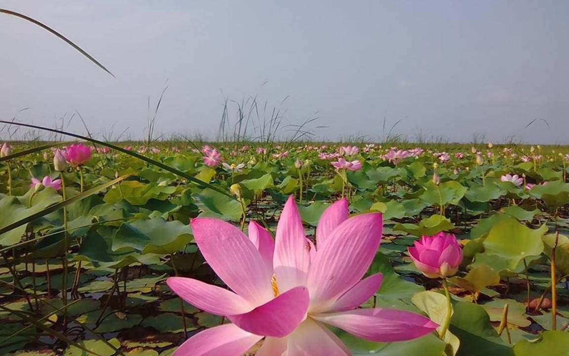 Photo of Others in Sam Roi Yot