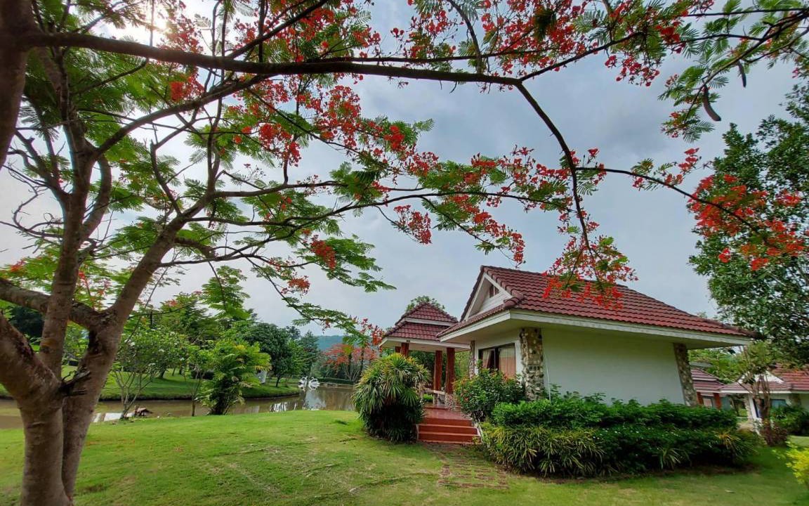 Photo of Others in Suan Phueng
