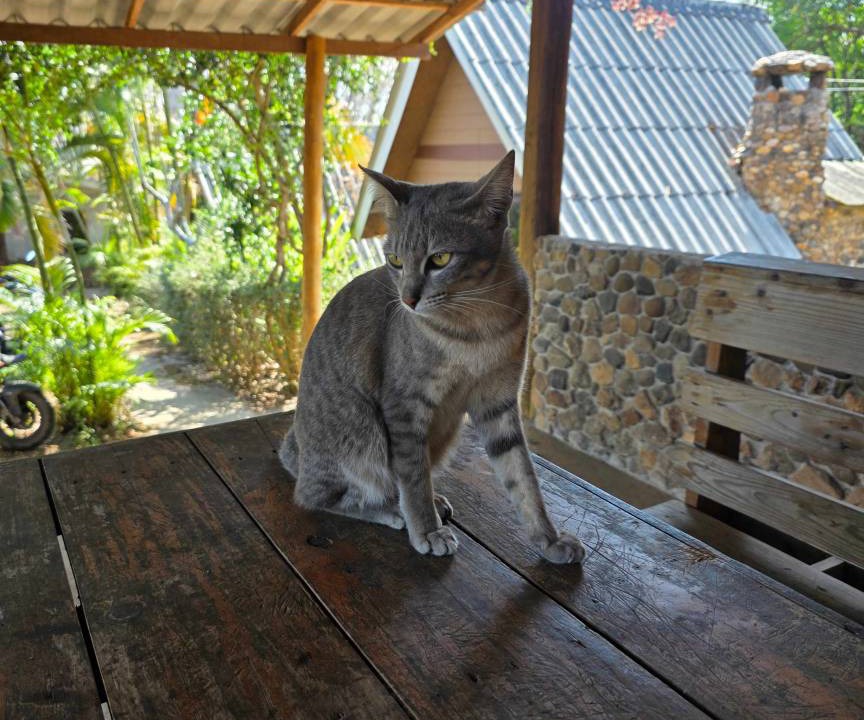 Photo of Others in Pai