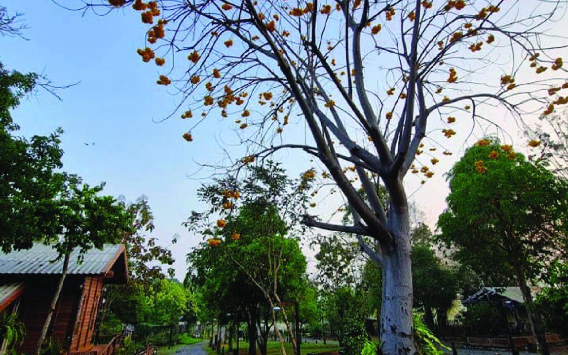 Photo of Others in Mu Si