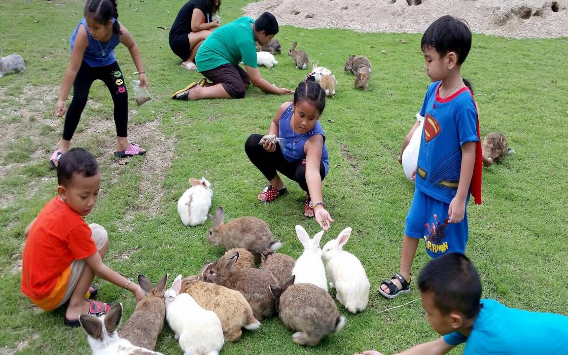 Photo of Others in Suan Phueng