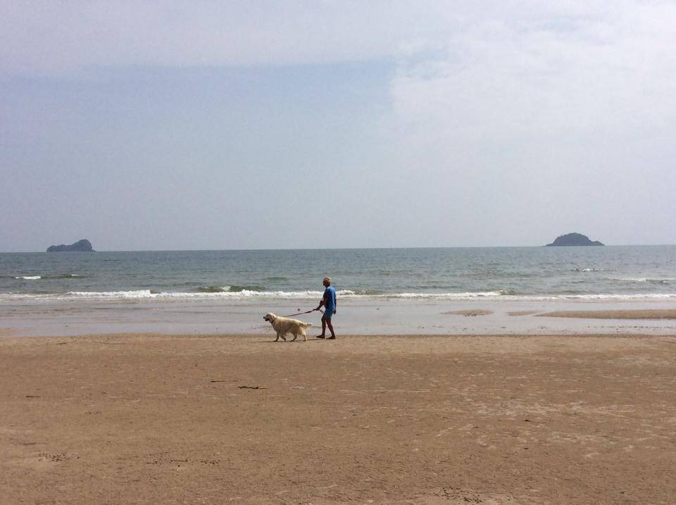 Photo of Others in Khao Tao