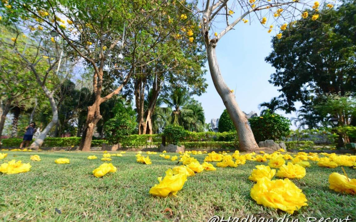 Photo of Outdoor in Sai Yok