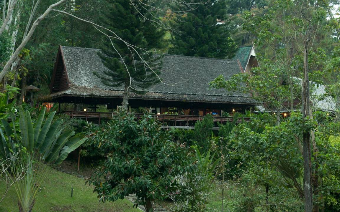 Photo of Others in Pong Yaeng