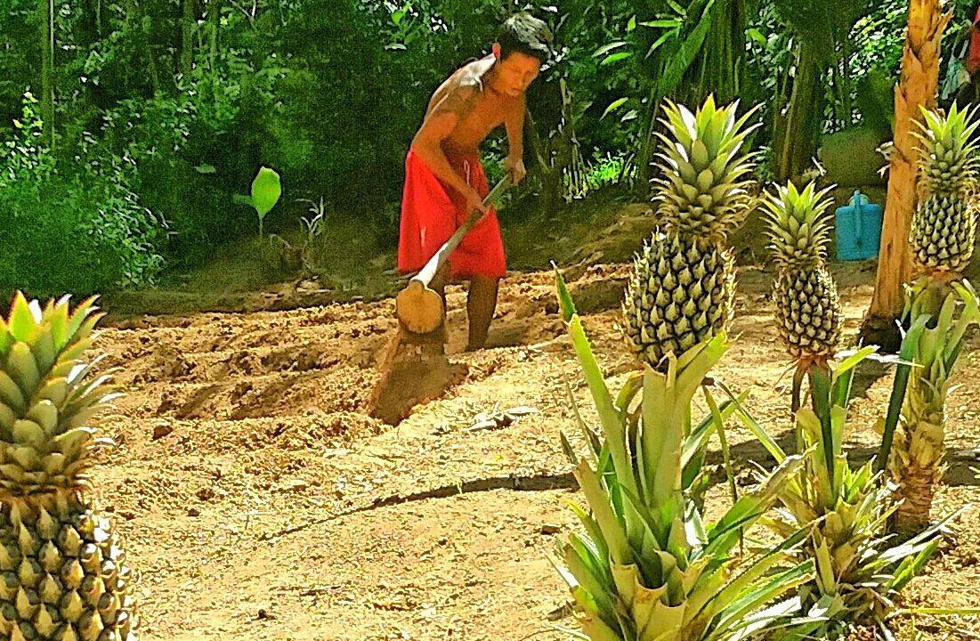 Photo of Others in Ko Yao