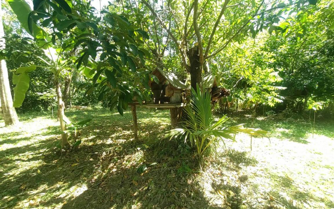 Photo of Others in Koh Chang Tai