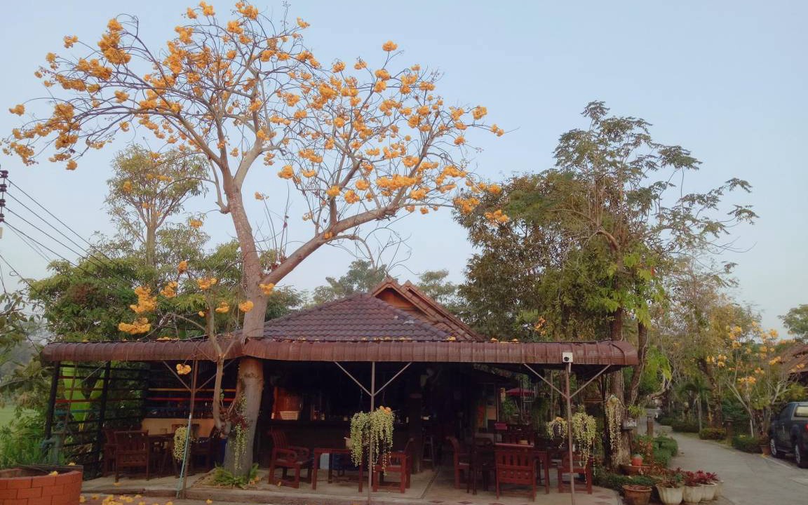 Photo of Others in Huai Sai